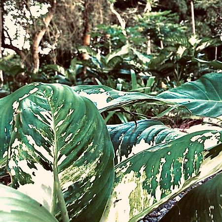 Nature'S Cradle Obosomase Exterior foto