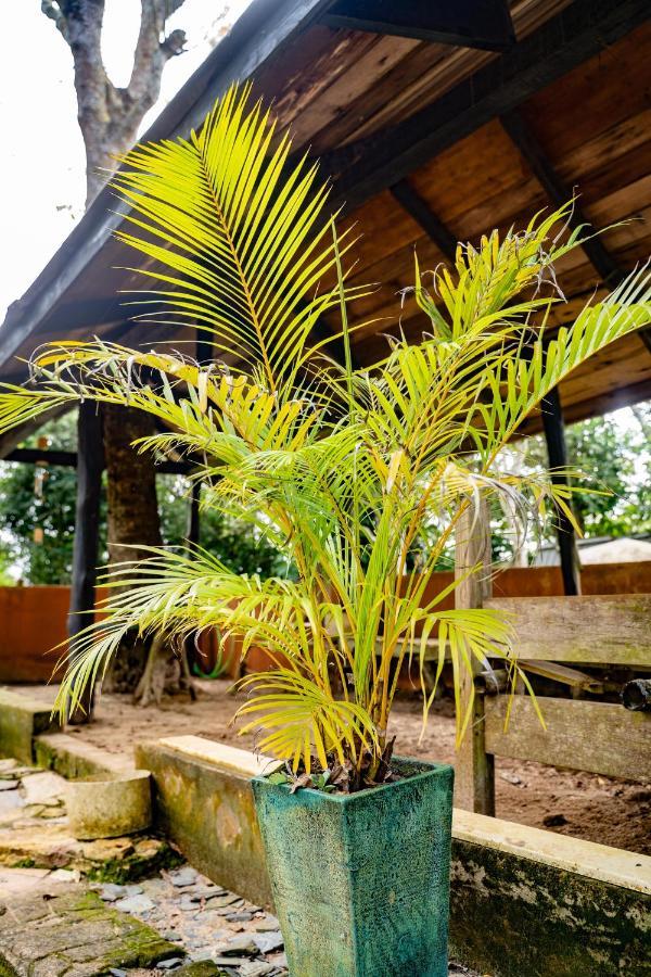 Nature'S Cradle Obosomase Exterior foto